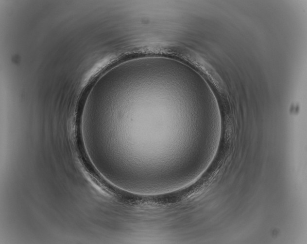 X0000096700677200802261605
