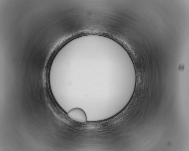 X0000096700678200802261605