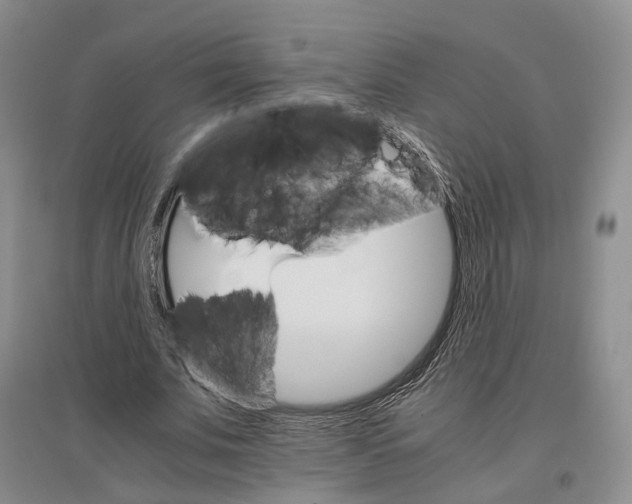 X0000096700679200802261605