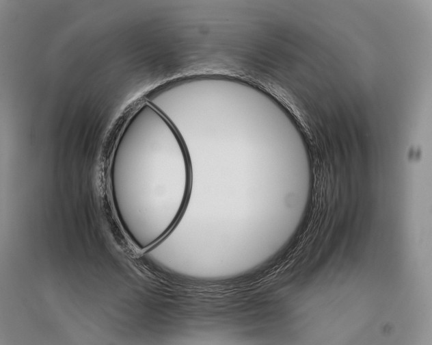 X0000096700680200802261605
