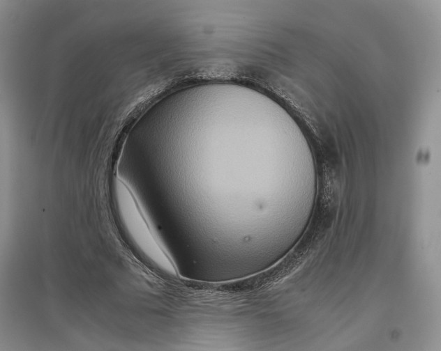 X0000096700681200802261605