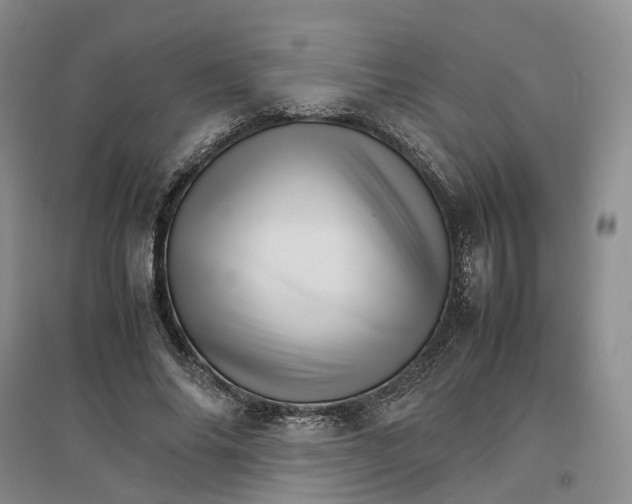 X0000096700686200802261605