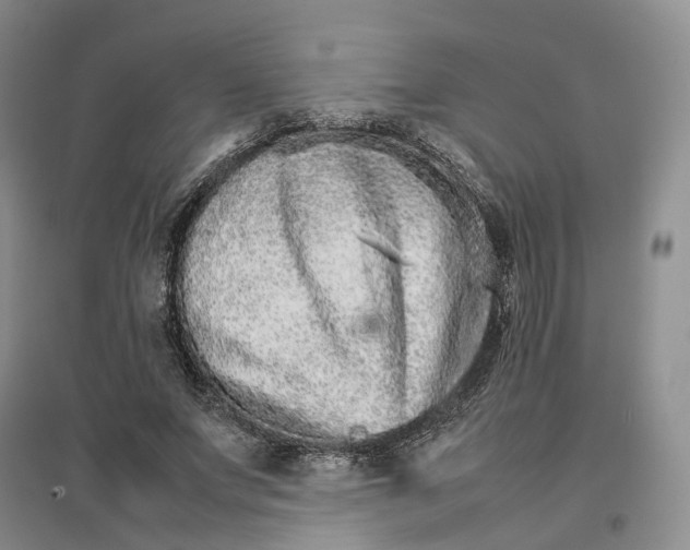 X0000096700687200802261605