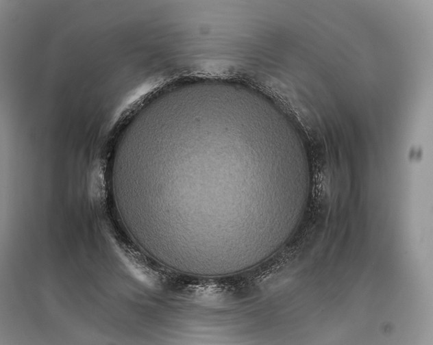 X0000096700688200802261605