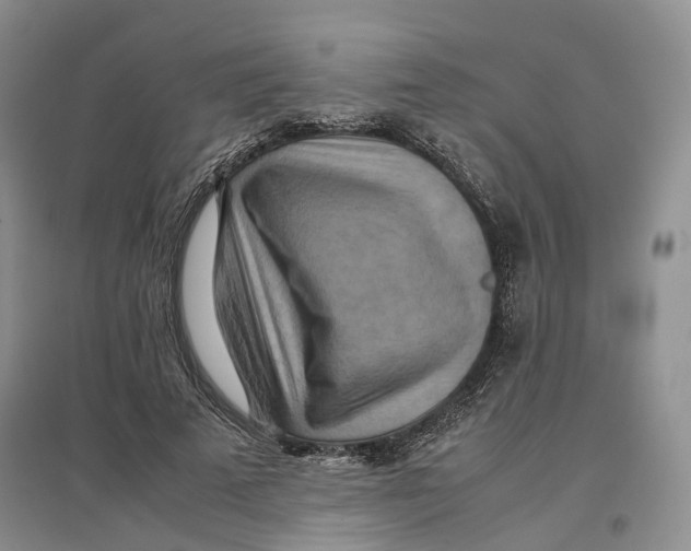 X0000096700689200802261605