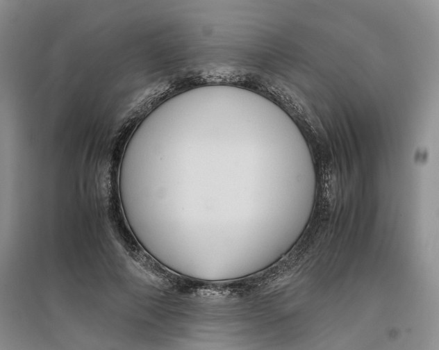 X0000096700690200802261605