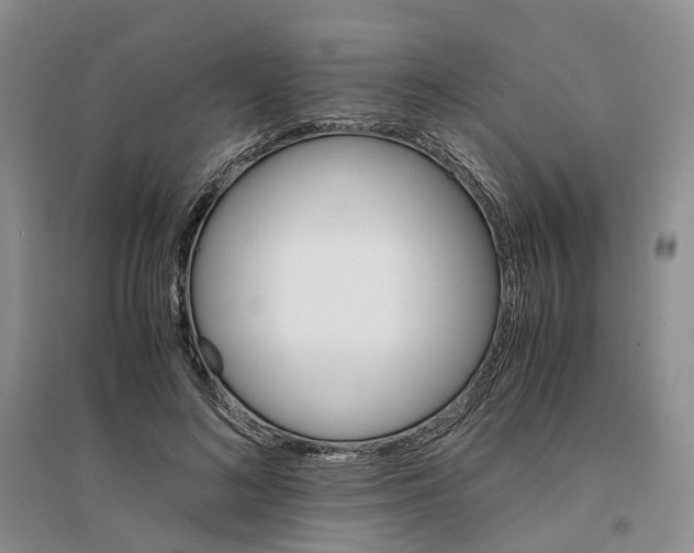 X0000096700692200802261605