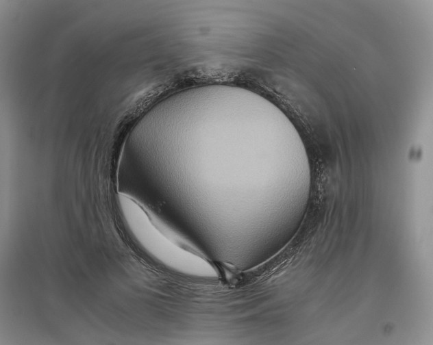 X0000096700693200802261605