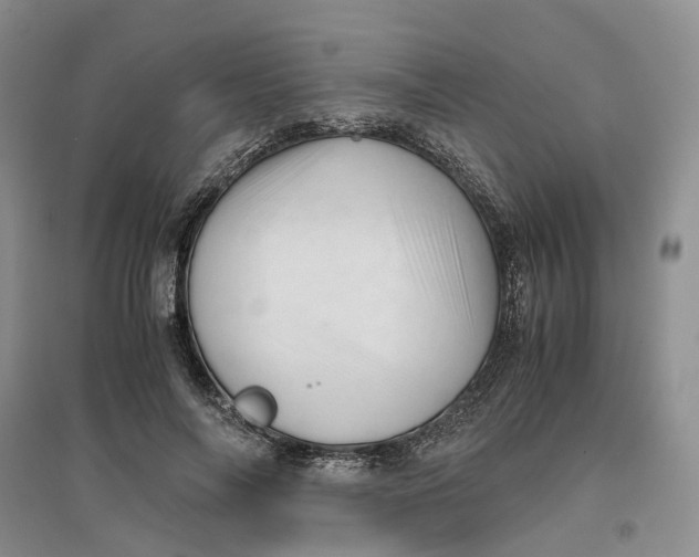 X0000096700694200802261605