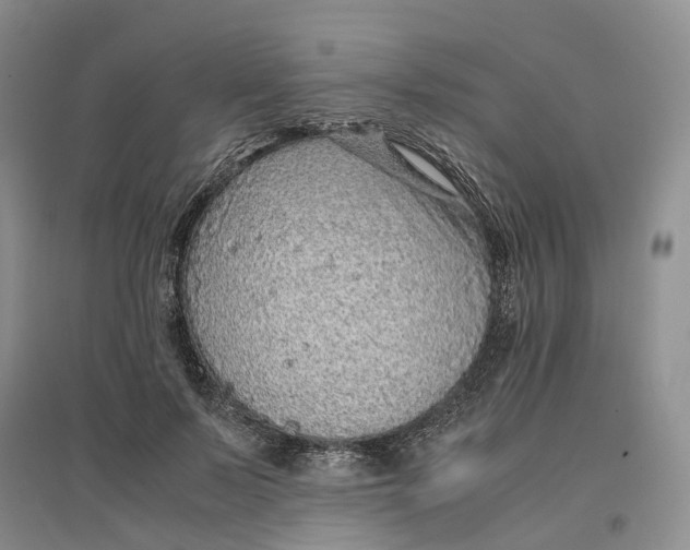 X0000096700695200802261605