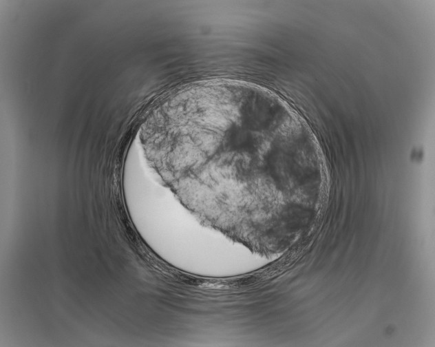 X0000096700699200802261605