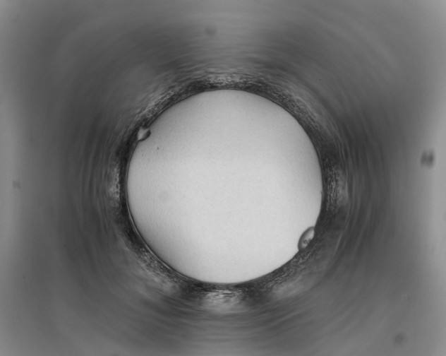 X0000096700700200802261605