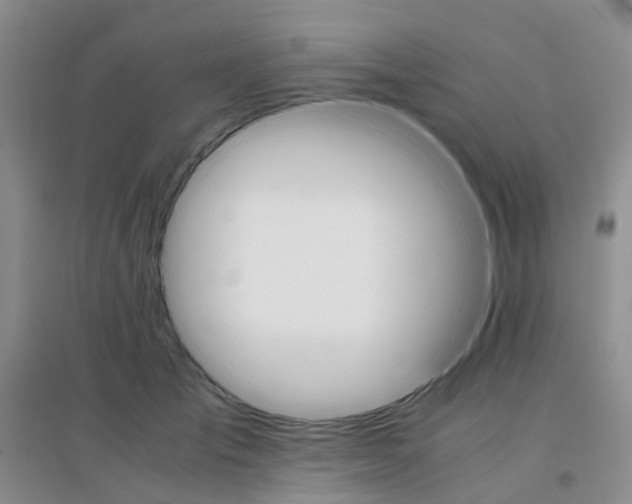 X0000096700701200802261605