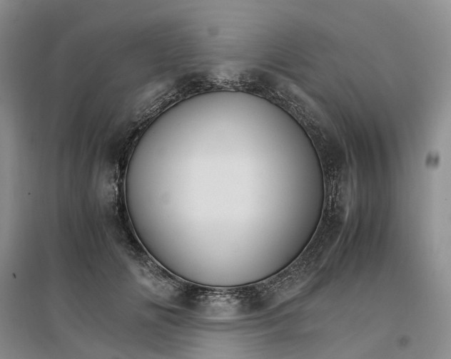 X0000096700702200802261605