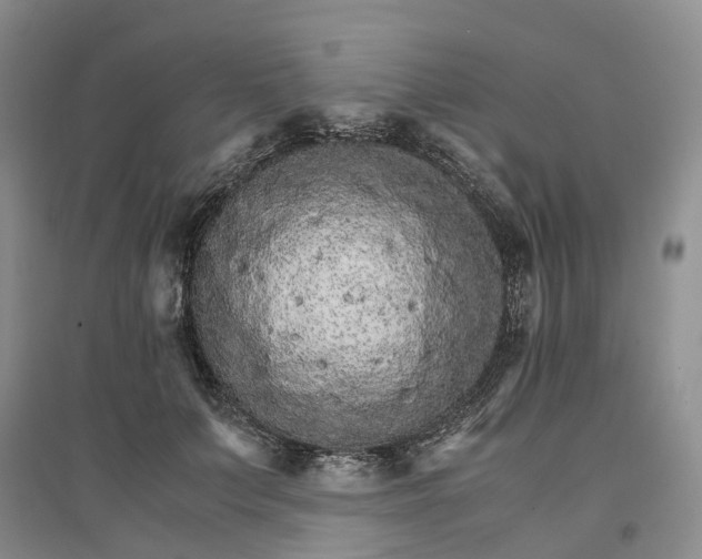 X0000096700703200802261605