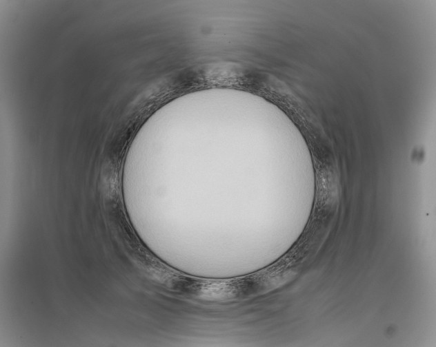 X0000096700705200802261605