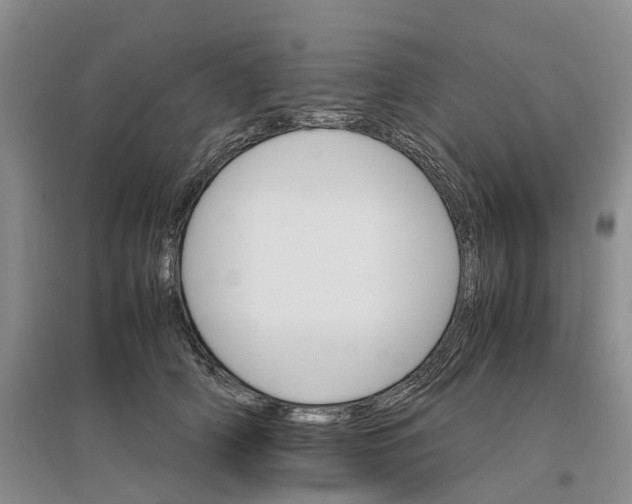 X0000096700706200802261605