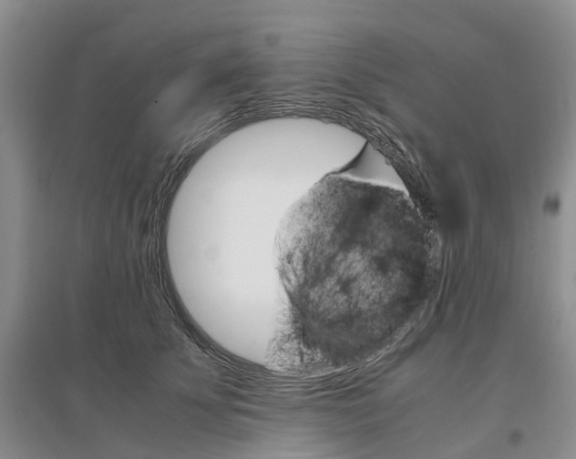 X0000096700707200802261605