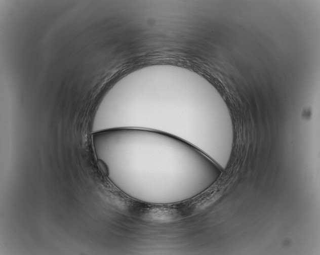 X0000096700708200802261605
