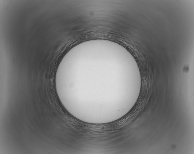 X0000096700709200802261605