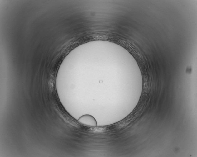 X0000096700710200802261605