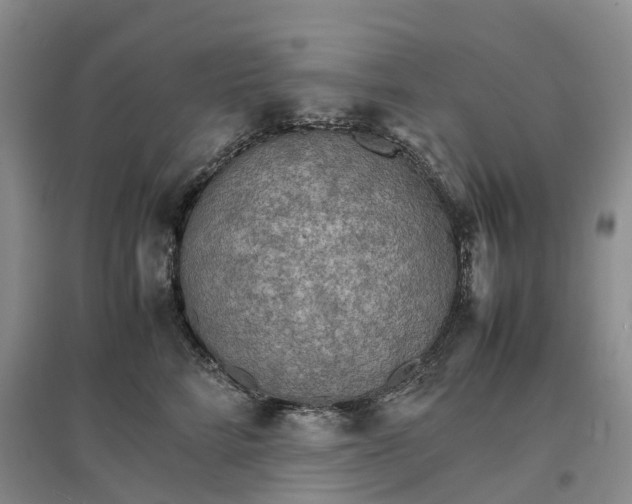 X0000096700712200802261605