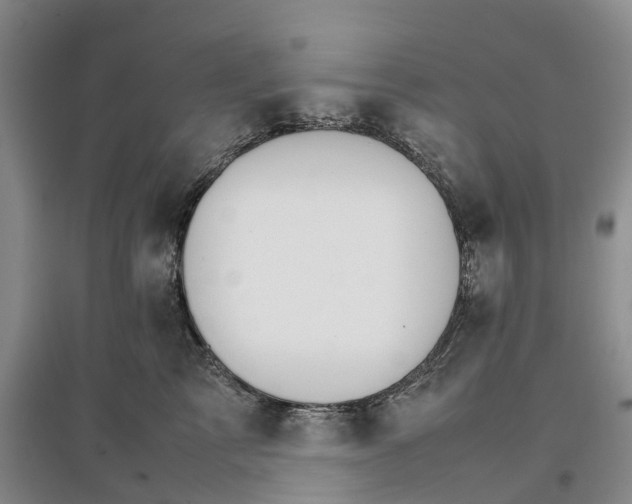 X0000096700713200802261605