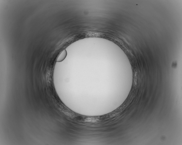 X0000096700714200802261605