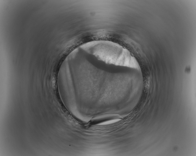 X0000096700715200802261605