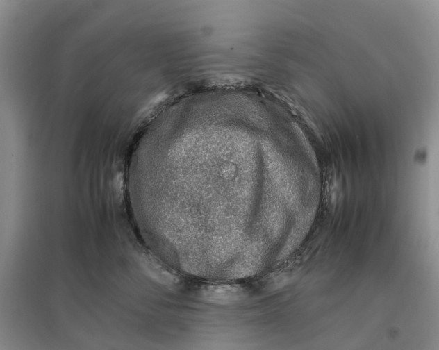 X0000096700716200802261605