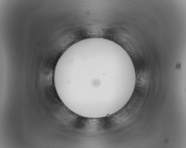 X0000096700717200802261605
