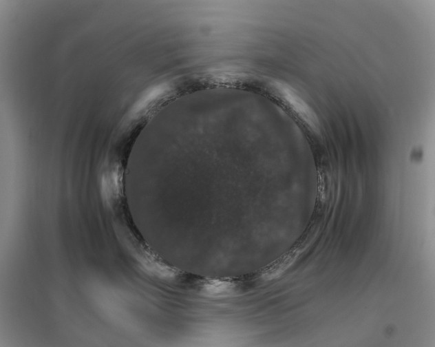 X0000096700718200802261605