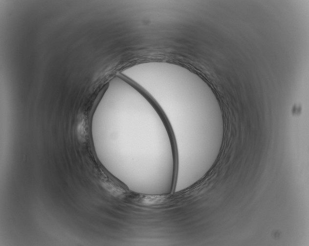 X0000096700720200802261605