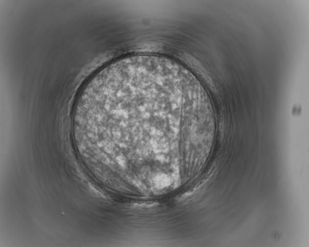 X0000096700721200802261604