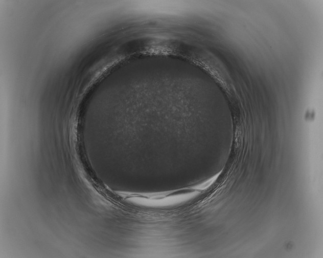 X0000096700722200802261604