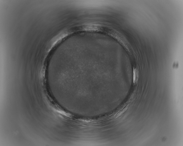 X0000096700723200802261604
