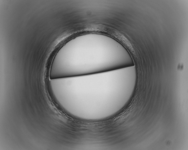 X0000096700724200802261604