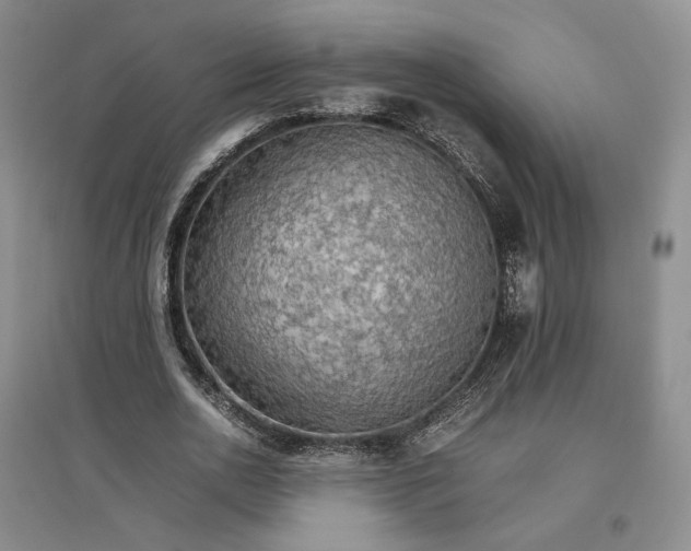 X0000096700726200802261604