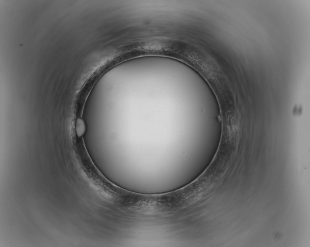 X0000096700728200802261604
