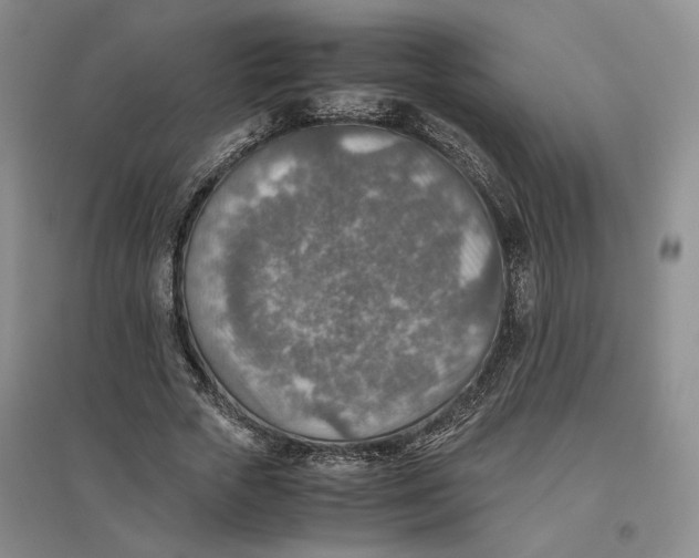 X0000096700729200802261604