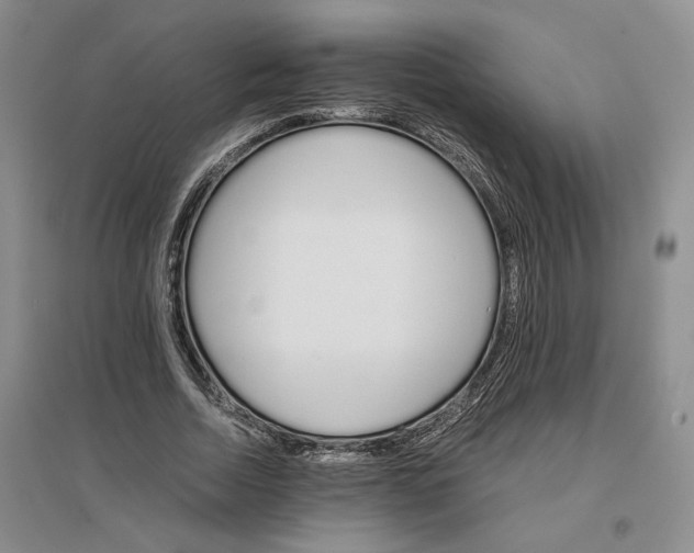 X0000096700730200802261604