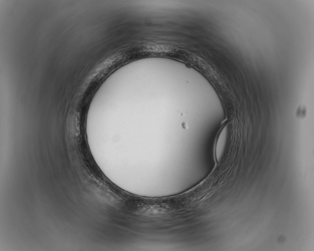 X0000096700731200802261604