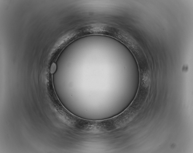 X0000096700732200802261604