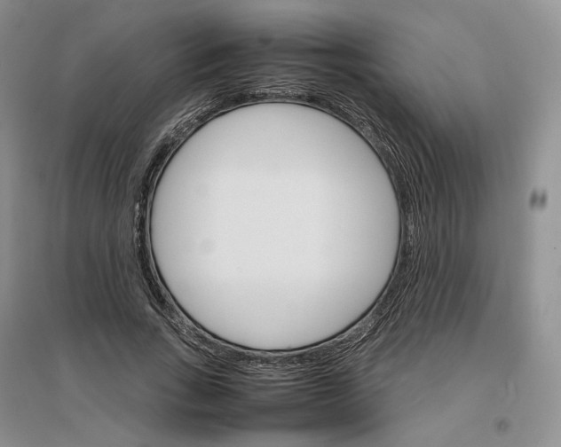 X0000096700735200802261604