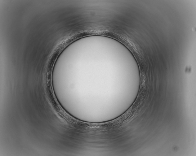X0000096700736200802261604