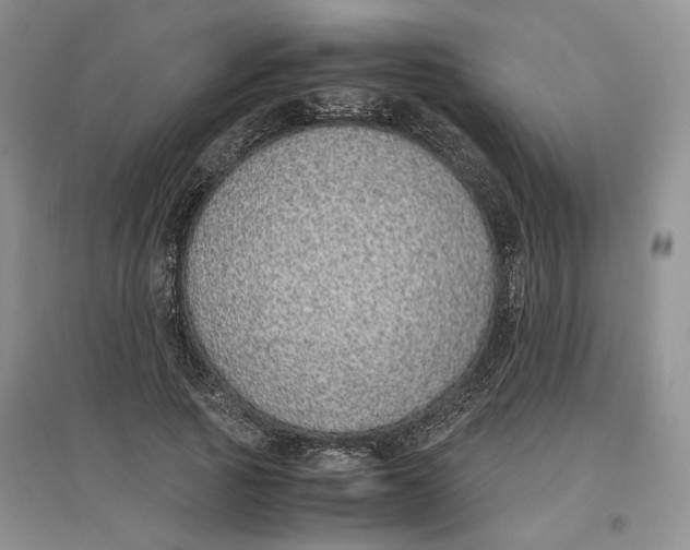 X0000096700737200802261604
