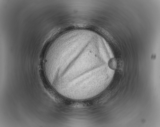 X0000096700738200802261604