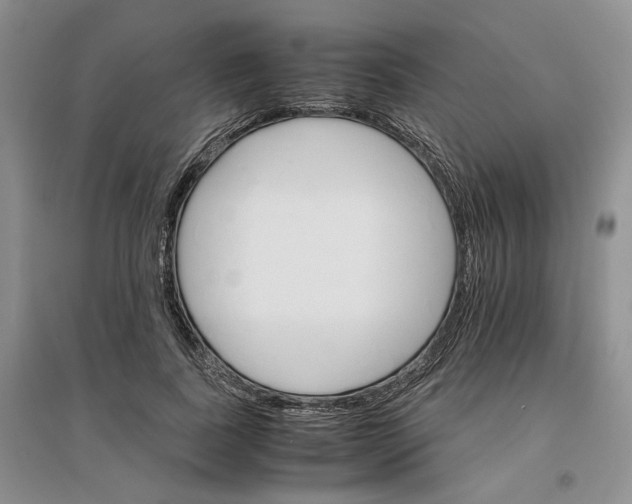 X0000096700739200802261604