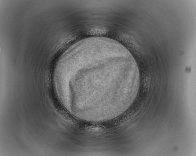 X0000096700743200802261604