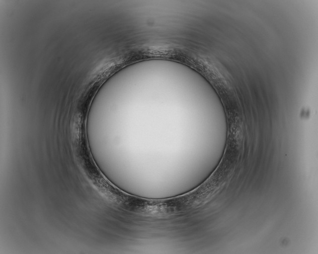 X0000096700744200802261604